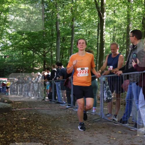 28.09.2025 - 33. Volkslauf durch das schöne Alstertal Strokosch-Dieckow http://msf.ph/oto/8973992 28.09.2025 12:28:19 Ziel 2128, 2222, 2469 meine-sportfotos.de