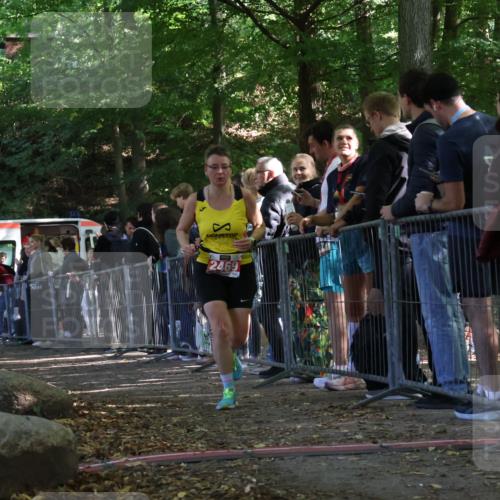 28.09.2025 - 33. Volkslauf durch das schöne Alstertal Strokosch-Dieckow http://msf.ph/oto/8973993 28.09.2025 12:28:23 Ziel 2128, 2469 meine-sportfotos.de
