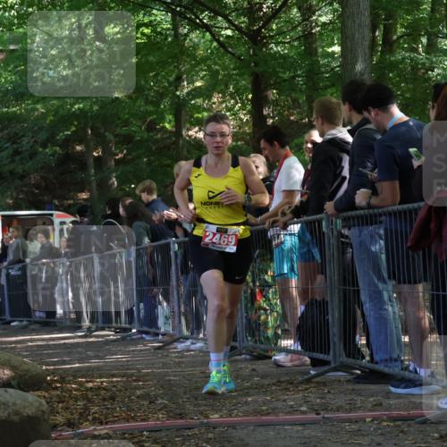 28.09.2025 - 33. Volkslauf durch das schöne Alstertal Strokosch-Dieckow http://msf.ph/oto/8973994 28.09.2025 12:28:24 Ziel 2128, 2469 meine-sportfotos.de