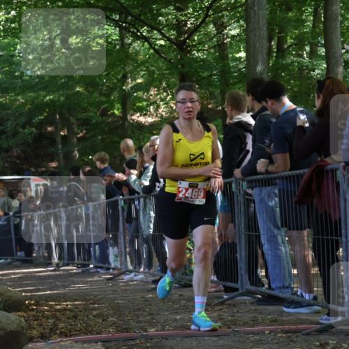 28.09.2025 - 33. Volkslauf durch das schöne Alstertal Strokosch-Dieckow http://msf.ph/oto/8973995 28.09.2025 12:28:24 Ziel 2128, 2469 meine-sportfotos.de