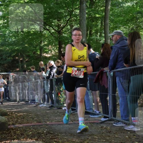 28.09.2025 - 33. Volkslauf durch das schöne Alstertal Strokosch-Dieckow http://msf.ph/oto/8973997 28.09.2025 12:28:25 Ziel 2128, 2469 meine-sportfotos.de