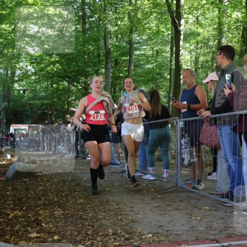 28.09.2025 - 33. Volkslauf durch das schöne Alstertal Strokosch-Dieckow http://msf.ph/oto/8974007 28.09.2025 12:28:29 Ziel 1837, 2128 meine-sportfotos.de