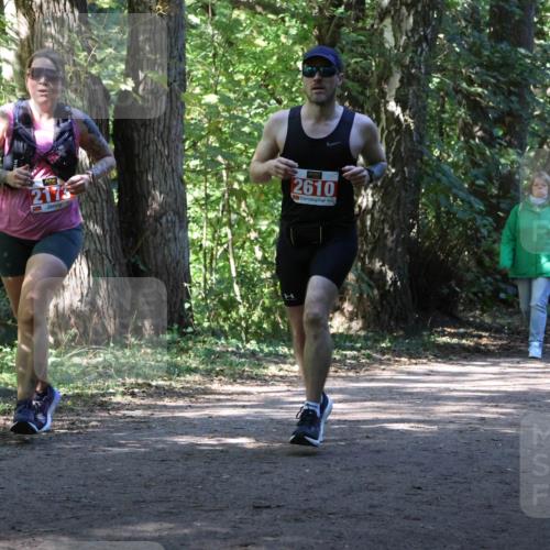 28.09.2025 - 33. Volkslauf durch das schöne Alstertal Strokosch-Dieckow http://msf.ph/oto/8974014 28.09.2025 12:32:44 Laufen 2175, 2610 meine-sportfotos.de