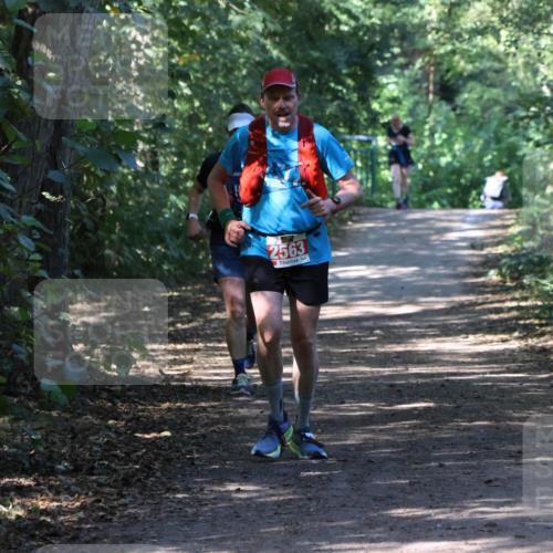 28.09.2025 - 33. Volkslauf durch das schöne Alstertal Strokosch-Dieckow http://msf.ph/oto/8974018 28.09.2025 12:33:29 Laufen 2563 meine-sportfotos.de