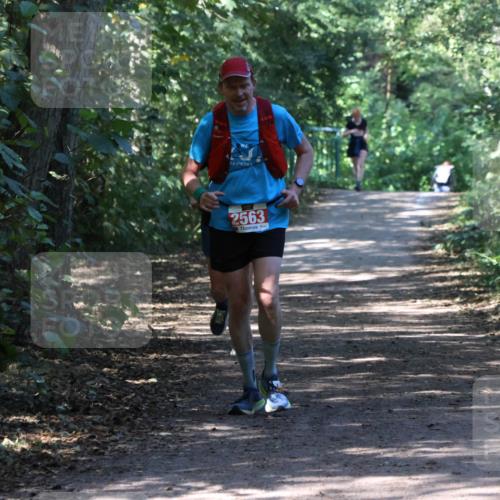 28.09.2025 - 33. Volkslauf durch das schöne Alstertal Strokosch-Dieckow http://msf.ph/oto/8974023 28.09.2025 12:33:30 Laufen 2563 meine-sportfotos.de