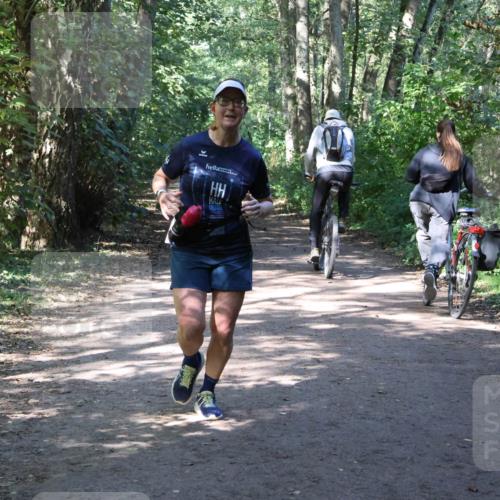 28.09.2025 - 33. Volkslauf durch das schöne Alstertal Strokosch-Dieckow http://msf.ph/oto/8974024 28.09.2025 12:33:37 Laufen  meine-sportfotos.de