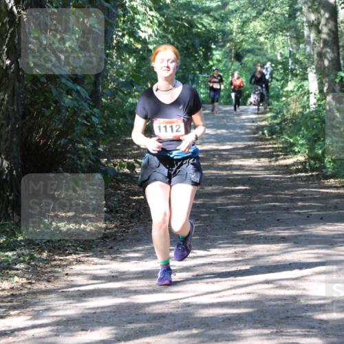 28.09.2025 - 33. Volkslauf durch das schöne Alstertal Strokosch-Dieckow http://msf.ph/oto/8974029 28.09.2025 12:33:57 Laufen 1112 meine-sportfotos.de