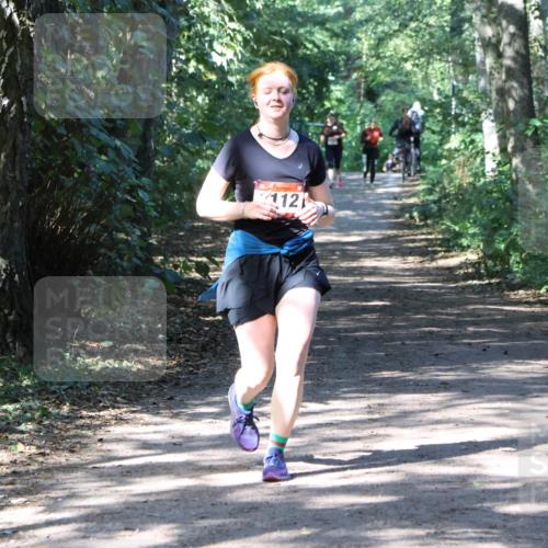 28.09.2025 - 33. Volkslauf durch das schöne Alstertal Strokosch-Dieckow http://msf.ph/oto/8974034 28.09.2025 12:33:57 Laufen 112 meine-sportfotos.de