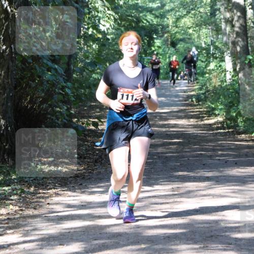 28.09.2025 - 33. Volkslauf durch das schöne Alstertal Strokosch-Dieckow http://msf.ph/oto/8974035 28.09.2025 12:33:57 Laufen 111 meine-sportfotos.de