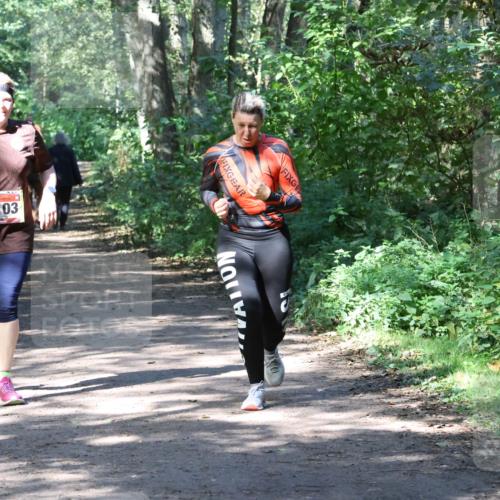 28.09.2025 - 33. Volkslauf durch das schöne Alstertal Strokosch-Dieckow http://msf.ph/oto/8974037 28.09.2025 12:34:24 Laufen 1103 meine-sportfotos.de