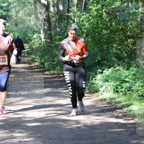 28.09.2025 - 33. Volkslauf durch das schöne Alstertal Strokosch-Dieckow http://msf.ph/oto/8974038 28.09.2025 12:34:25 Laufen 1103 meine-sportfotos.de