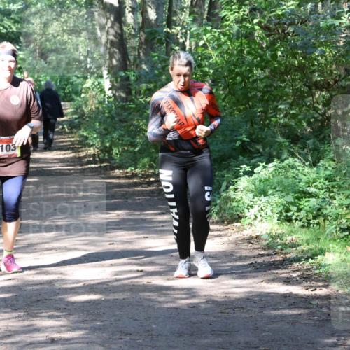 28.09.2025 - 33. Volkslauf durch das schöne Alstertal Strokosch-Dieckow http://msf.ph/oto/8974039 28.09.2025 12:34:25 Laufen 1103 meine-sportfotos.de