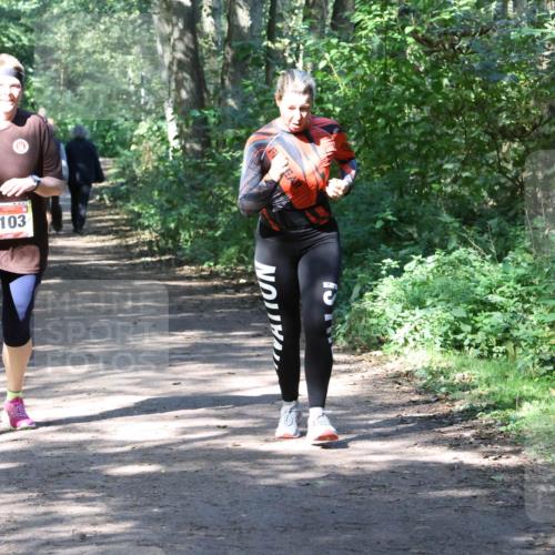 28.09.2025 - 33. Volkslauf durch das schöne Alstertal Strokosch-Dieckow http://msf.ph/oto/8974040 28.09.2025 12:34:25 Laufen 1103 meine-sportfotos.de