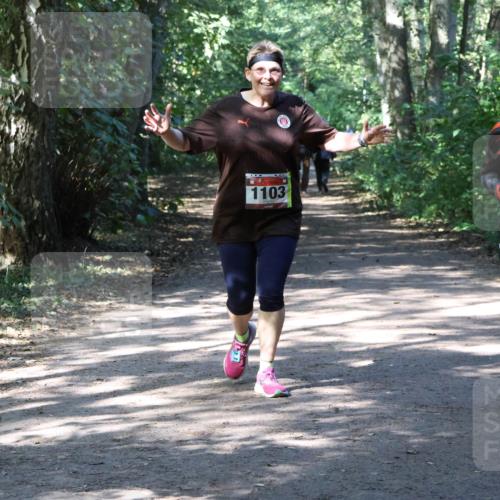 28.09.2025 - 33. Volkslauf durch das schöne Alstertal Strokosch-Dieckow http://msf.ph/oto/8974041 28.09.2025 12:34:26 Laufen 1103 meine-sportfotos.de