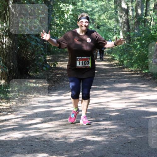 28.09.2025 - 33. Volkslauf durch das schöne Alstertal Strokosch-Dieckow http://msf.ph/oto/8974042 28.09.2025 12:34:26 Laufen 1103 meine-sportfotos.de