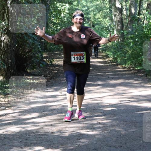 28.09.2025 - 33. Volkslauf durch das schöne Alstertal Strokosch-Dieckow http://msf.ph/oto/8974043 28.09.2025 12:34:26 Laufen 1103 meine-sportfotos.de