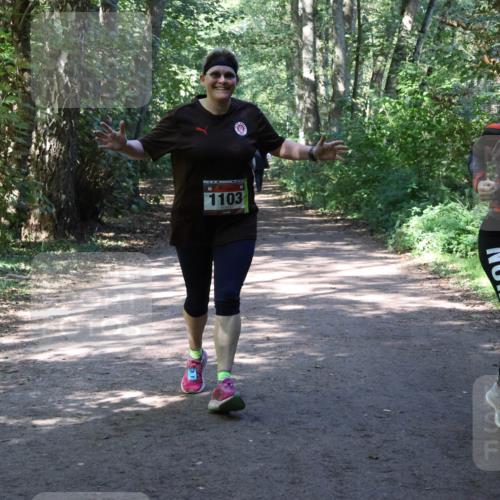 28.09.2025 - 33. Volkslauf durch das schöne Alstertal Strokosch-Dieckow http://msf.ph/oto/8974044 28.09.2025 12:34:27 Laufen 1103 meine-sportfotos.de