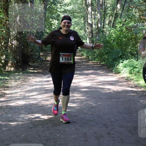 28.09.2025 - 33. Volkslauf durch das schöne Alstertal Strokosch-Dieckow http://msf.ph/oto/8974045 28.09.2025 12:34:27 Laufen 1103 meine-sportfotos.de