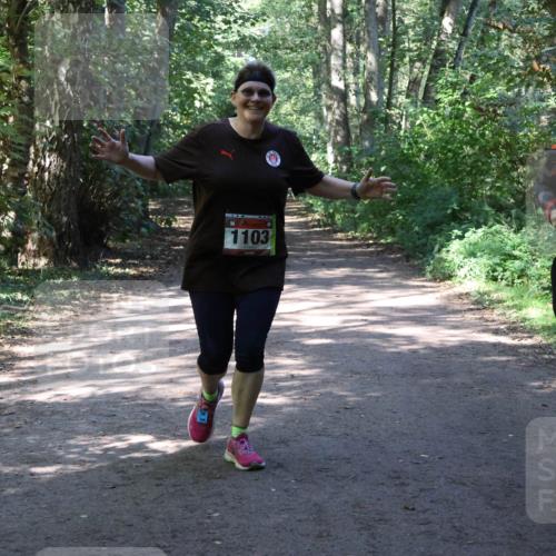28.09.2025 - 33. Volkslauf durch das schöne Alstertal Strokosch-Dieckow http://msf.ph/oto/8974046 28.09.2025 12:34:27 Laufen 1103 meine-sportfotos.de