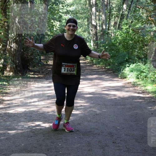 28.09.2025 - 33. Volkslauf durch das schöne Alstertal Strokosch-Dieckow http://msf.ph/oto/8974047 28.09.2025 12:34:28 Laufen 1103 meine-sportfotos.de