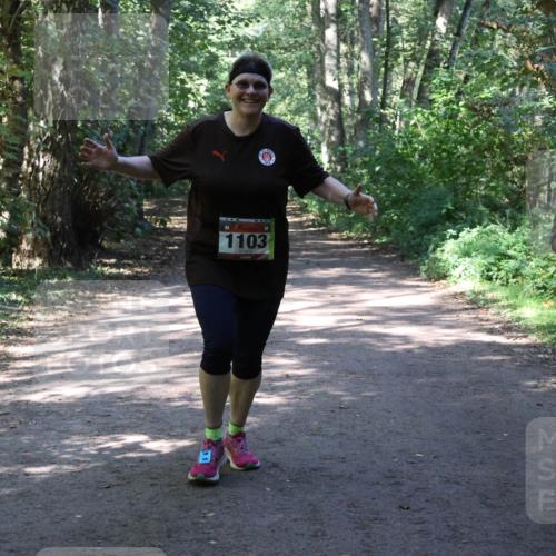 28.09.2025 - 33. Volkslauf durch das schöne Alstertal Strokosch-Dieckow http://msf.ph/oto/8974048 28.09.2025 12:34:28 Laufen 1103 meine-sportfotos.de