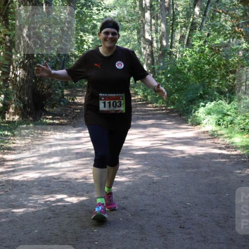 28.09.2025 - 33. Volkslauf durch das schöne Alstertal Strokosch-Dieckow http://msf.ph/oto/8974049 28.09.2025 12:34:28 Laufen 1103 meine-sportfotos.de