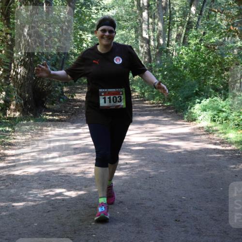 28.09.2025 - 33. Volkslauf durch das schöne Alstertal Strokosch-Dieckow http://msf.ph/oto/8974050 28.09.2025 12:34:28 Laufen 1103 meine-sportfotos.de