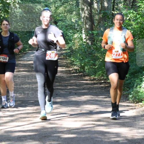28.09.2025 - 33. Volkslauf durch das schöne Alstertal Strokosch-Dieckow http://msf.ph/oto/8974051 28.09.2025 12:34:42 Laufen 1100, 246 meine-sportfotos.de