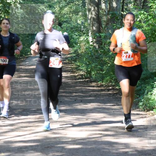28.09.2025 - 33. Volkslauf durch das schöne Alstertal Strokosch-Dieckow http://msf.ph/oto/8974052 28.09.2025 12:34:42 Laufen 1100, 245, 277 meine-sportfotos.de