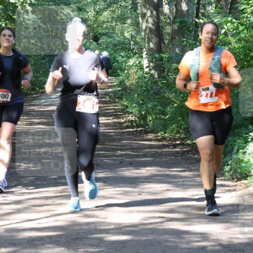28.09.2025 - 33. Volkslauf durch das schöne Alstertal Strokosch-Dieckow http://msf.ph/oto/8974053 28.09.2025 12:34:42 Laufen 2277, 1100, 2451 meine-sportfotos.de
