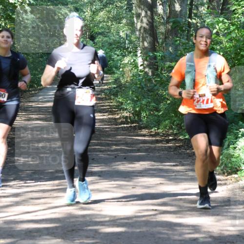 28.09.2025 - 33. Volkslauf durch das schöne Alstertal Strokosch-Dieckow http://msf.ph/oto/8974054 28.09.2025 12:34:42 Laufen 1100, 277 meine-sportfotos.de
