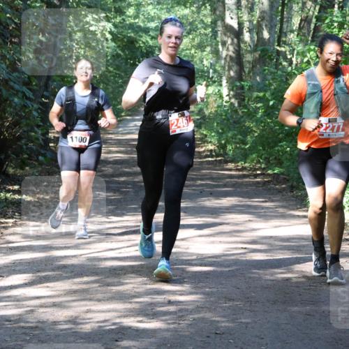 28.09.2025 - 33. Volkslauf durch das schöne Alstertal Strokosch-Dieckow http://msf.ph/oto/8974055 28.09.2025 12:34:43 Laufen 1100, 2461, 2277 meine-sportfotos.de
