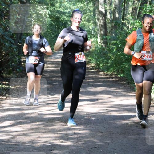 28.09.2025 - 33. Volkslauf durch das schöne Alstertal Strokosch-Dieckow http://msf.ph/oto/8974056 28.09.2025 12:34:43 Laufen 1100, 246, 3277 meine-sportfotos.de