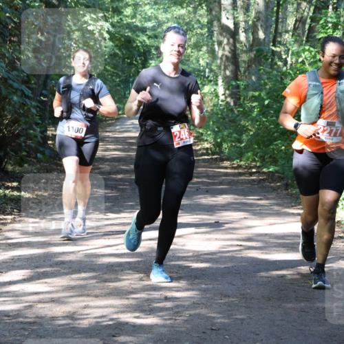 28.09.2025 - 33. Volkslauf durch das schöne Alstertal Strokosch-Dieckow http://msf.ph/oto/8974057 28.09.2025 12:34:43 Laufen 1100, 246, 2277 meine-sportfotos.de