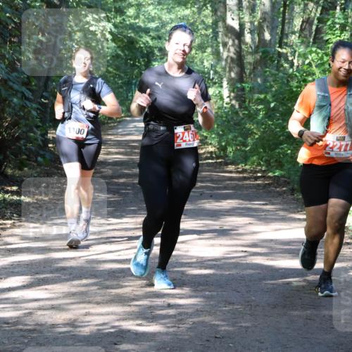 28.09.2025 - 33. Volkslauf durch das schöne Alstertal Strokosch-Dieckow http://msf.ph/oto/8974058 28.09.2025 12:34:43 Laufen 1100, 246, 2277 meine-sportfotos.de