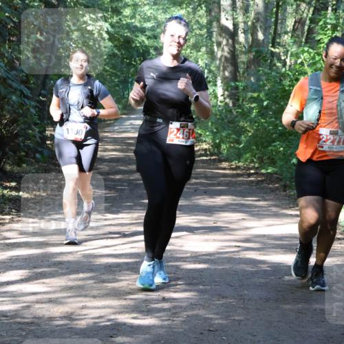 28.09.2025 - 33. Volkslauf durch das schöne Alstertal Strokosch-Dieckow http://msf.ph/oto/8974059 28.09.2025 12:34:43 Laufen 2461, 2277 meine-sportfotos.de