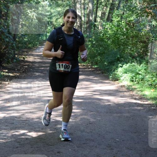 28.09.2025 - 33. Volkslauf durch das schöne Alstertal Strokosch-Dieckow http://msf.ph/oto/8974062 28.09.2025 12:34:46 Laufen 1100 meine-sportfotos.de