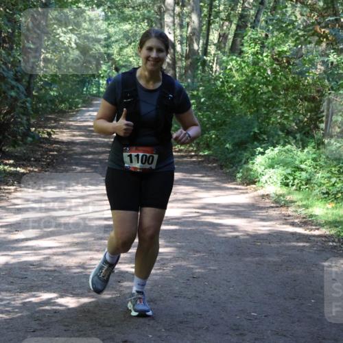 28.09.2025 - 33. Volkslauf durch das schöne Alstertal Strokosch-Dieckow http://msf.ph/oto/8974063 28.09.2025 12:34:46 Laufen 1100 meine-sportfotos.de