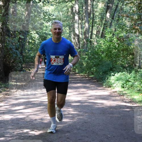 28.09.2025 - 33. Volkslauf durch das schöne Alstertal Strokosch-Dieckow http://msf.ph/oto/8974067 28.09.2025 12:35:15 Laufen 2386 meine-sportfotos.de