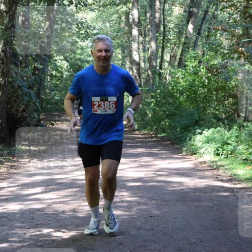 28.09.2025 - 33. Volkslauf durch das schöne Alstertal Strokosch-Dieckow http://msf.ph/oto/8974068 28.09.2025 12:35:15 Laufen 2386 meine-sportfotos.de