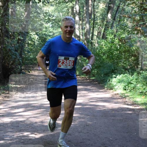 28.09.2025 - 33. Volkslauf durch das schöne Alstertal Strokosch-Dieckow http://msf.ph/oto/8974072 28.09.2025 12:35:15 Laufen 2386 meine-sportfotos.de