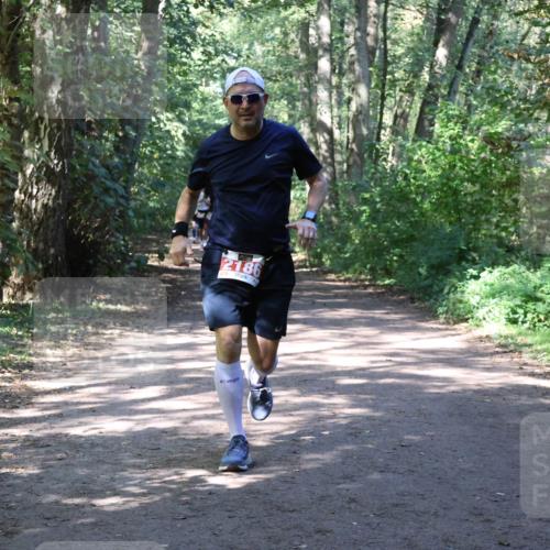 28.09.2025 - 33. Volkslauf durch das schöne Alstertal Strokosch-Dieckow http://msf.ph/oto/8974073 28.09.2025 12:35:23 Laufen 2186 meine-sportfotos.de