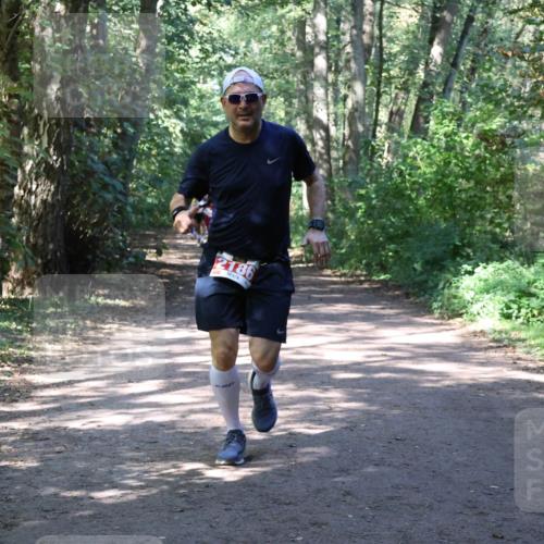 28.09.2025 - 33. Volkslauf durch das schöne Alstertal Strokosch-Dieckow http://msf.ph/oto/8974074 28.09.2025 12:35:23 Laufen 2186 meine-sportfotos.de