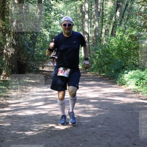 28.09.2025 - 33. Volkslauf durch das schöne Alstertal Strokosch-Dieckow http://msf.ph/oto/8974075 28.09.2025 12:35:23 Laufen 2186 meine-sportfotos.de