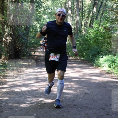 28.09.2025 - 33. Volkslauf durch das schöne Alstertal Strokosch-Dieckow http://msf.ph/oto/8974078 28.09.2025 12:35:23 Laufen 2186 meine-sportfotos.de
