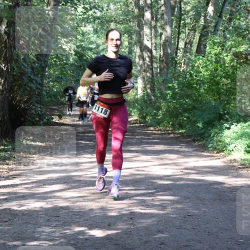 28.09.2025 - 33. Volkslauf durch das schöne Alstertal Strokosch-Dieckow http://msf.ph/oto/8974081 28.09.2025 12:35:30 Laufen 1118 meine-sportfotos.de