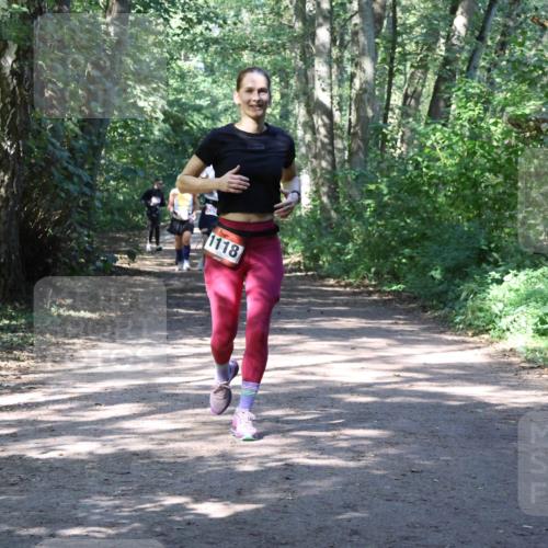 28.09.2025 - 33. Volkslauf durch das schöne Alstertal Strokosch-Dieckow http://msf.ph/oto/8974082 28.09.2025 12:35:30 Laufen 1118 meine-sportfotos.de