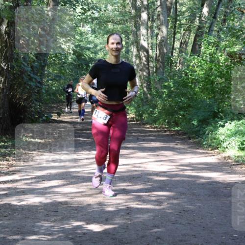 28.09.2025 - 33. Volkslauf durch das schöne Alstertal Strokosch-Dieckow http://msf.ph/oto/8974083 28.09.2025 12:35:30 Laufen 11, 8 meine-sportfotos.de