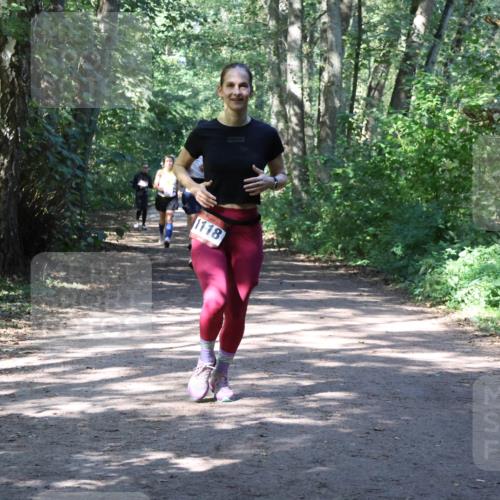 28.09.2025 - 33. Volkslauf durch das schöne Alstertal Strokosch-Dieckow http://msf.ph/oto/8974084 28.09.2025 12:35:30 Laufen 1118 meine-sportfotos.de