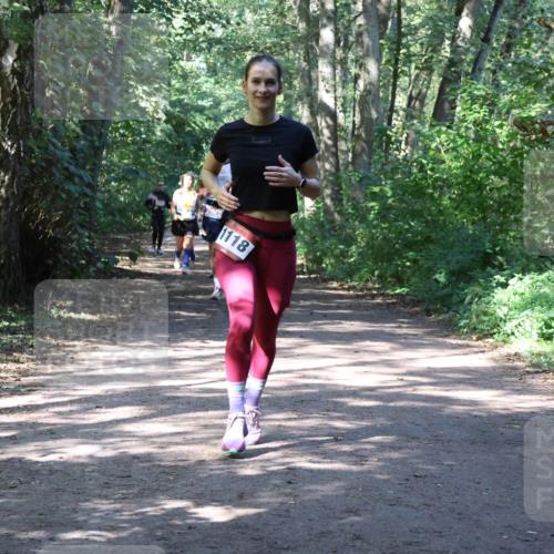 28.09.2025 - 33. Volkslauf durch das schöne Alstertal Strokosch-Dieckow http://msf.ph/oto/8974085 28.09.2025 12:35:31 Laufen 1118 meine-sportfotos.de